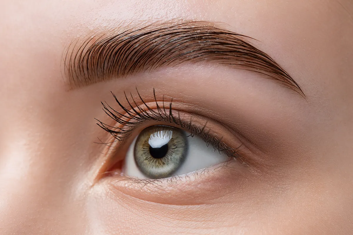 Eyebrow lamination 6 Eyebrow Lamination Course