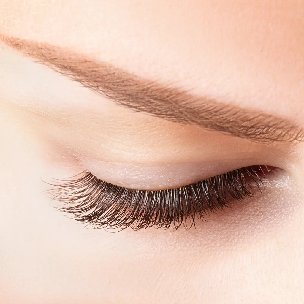 Real work 2 Eyebrow Wax and Tint Course