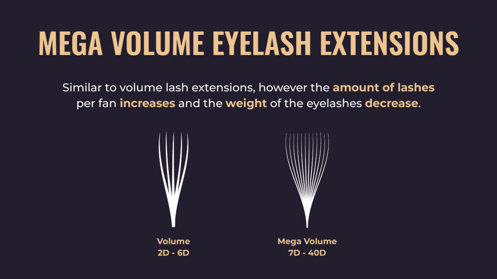 image 2 Eyelash Extension Course