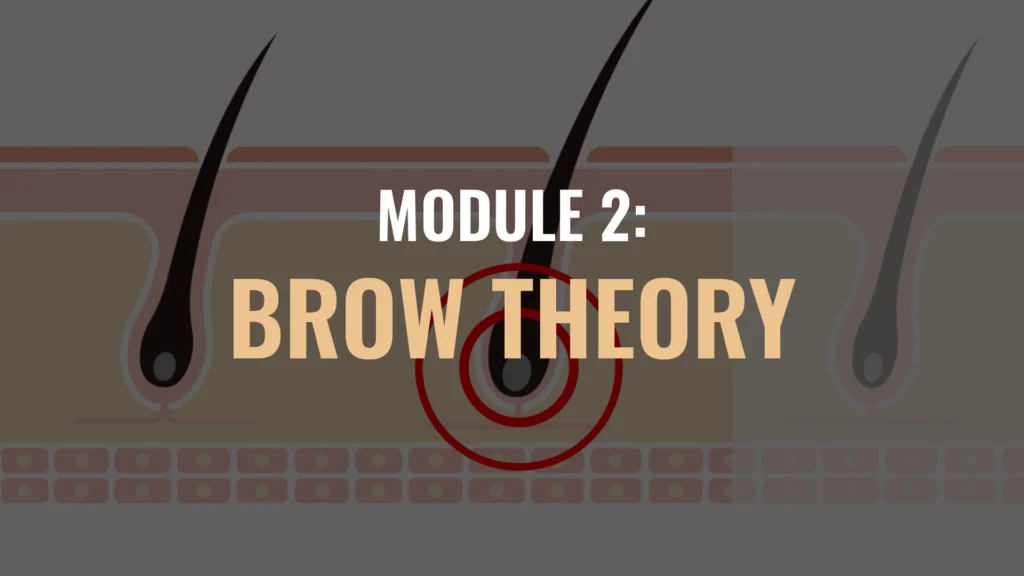 BROWS Module Thumbnails July25 02 Eyebrow Wax and Tint Course