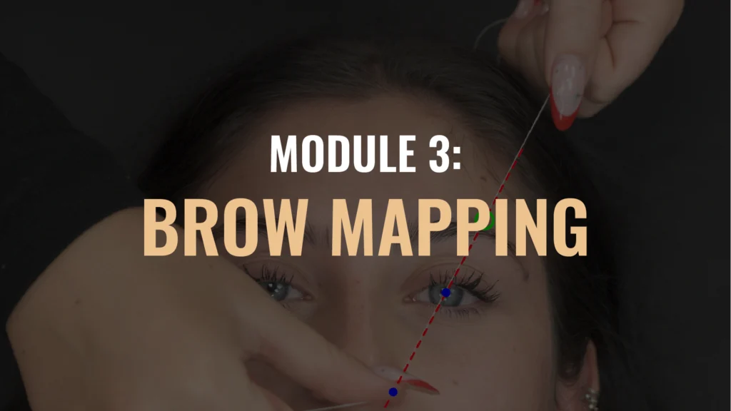 BROWS Module Thumbnails July25 03 Eyebrow Wax and Tint Course