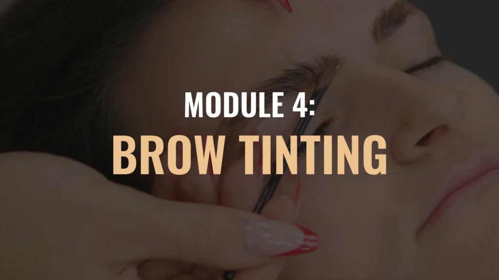 BROWS Module Thumbnails July25 04 Eyebrow Wax and Tint Course