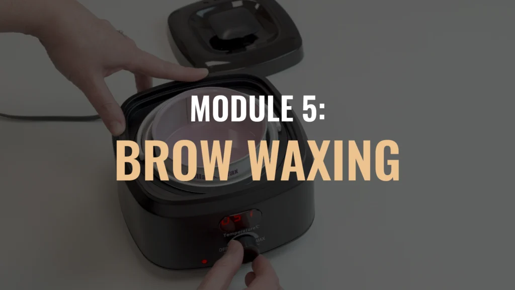BROWS Module Thumbnails July25 05 Eyebrow Wax and Tint Course