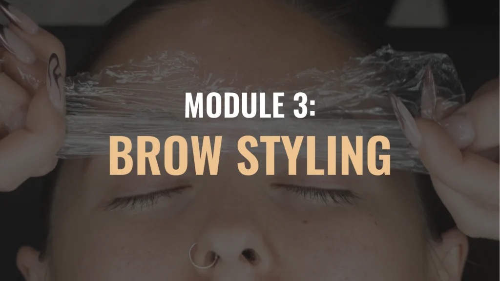 BROWS Module Thumbnails July25 10 Eyebrow Lamination Course