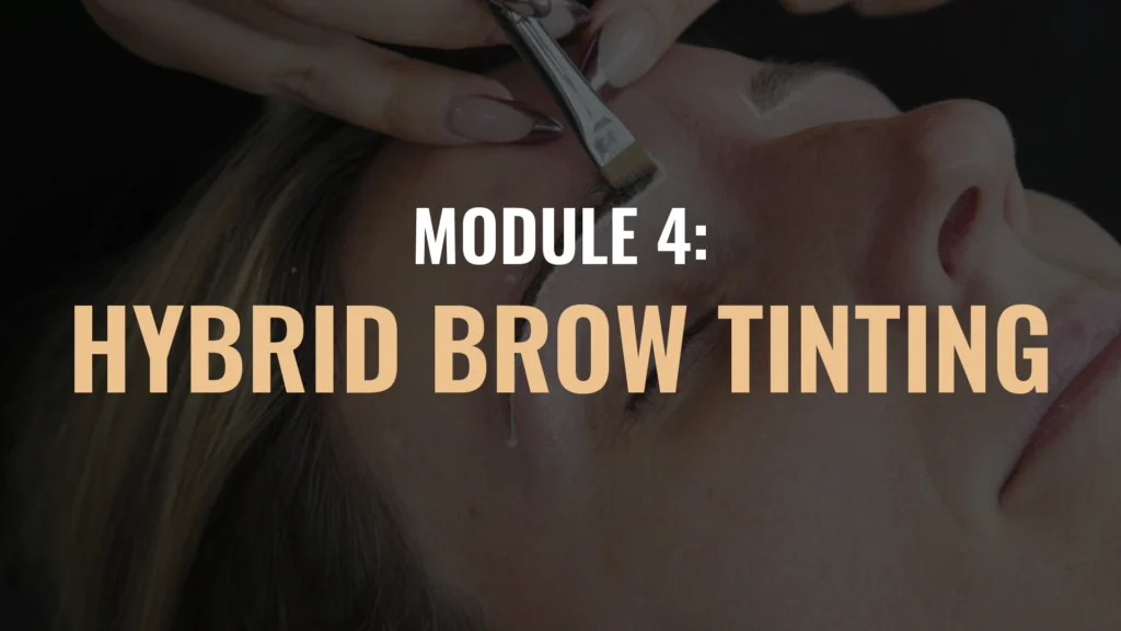 BROWS Module Thumbnails July25 12 eyebrow hybrid course