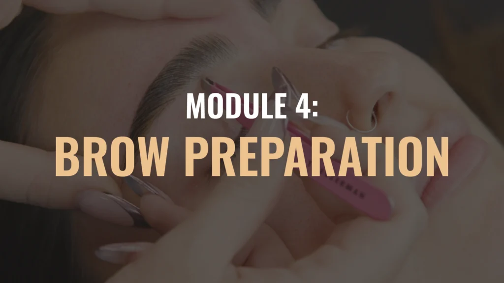 BROWS Module Thumbnails July25 13 Eyebrow Lamination Course