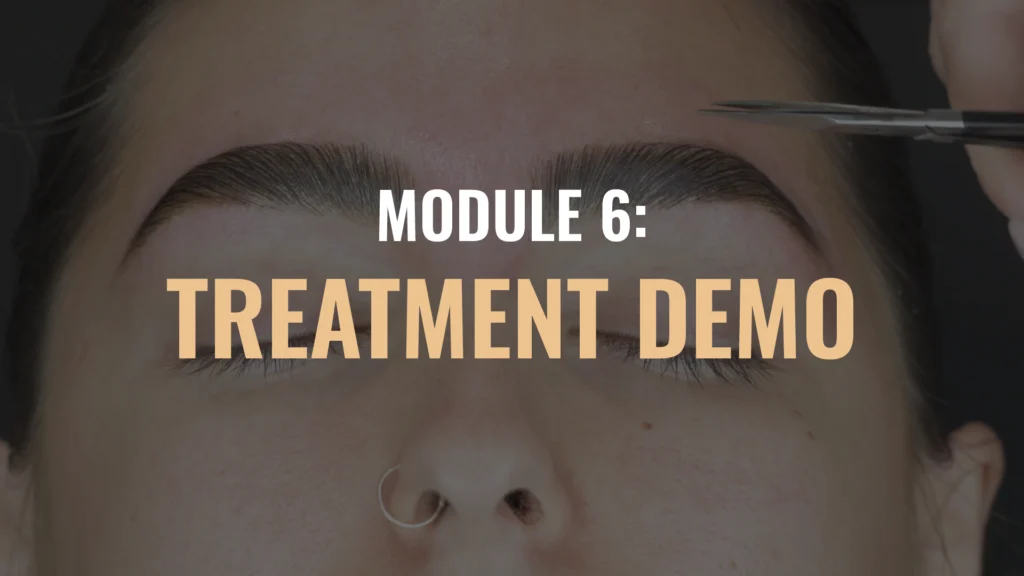 BROWS Module Thumbnails July25 15 Eyebrow Lamination Course