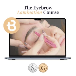 Eyebrow Lamination Course
