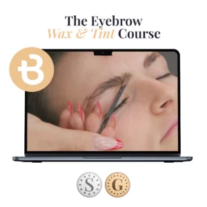 Eyebrow Wax & Tint Course