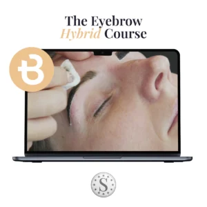 Eyebrow Hybrid Course